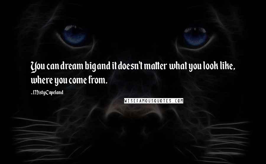 Misty Copeland Quotes: You can dream big and it doesn't matter what you look like, where you come from.