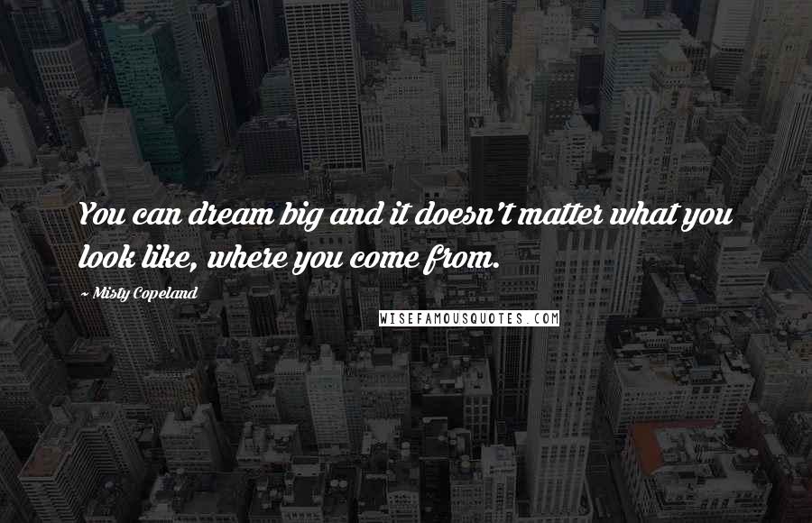 Misty Copeland Quotes: You can dream big and it doesn't matter what you look like, where you come from.