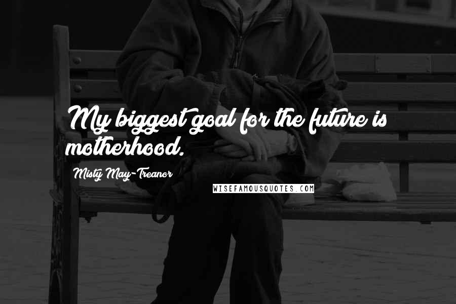 Misty May-Treanor Quotes: My biggest goal for the future is motherhood.