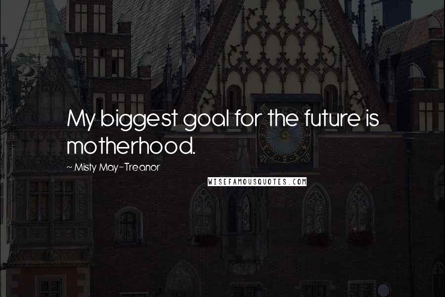 Misty May-Treanor Quotes: My biggest goal for the future is motherhood.