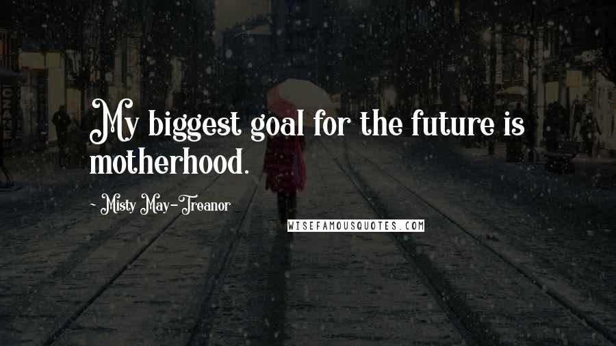 Misty May-Treanor Quotes: My biggest goal for the future is motherhood.