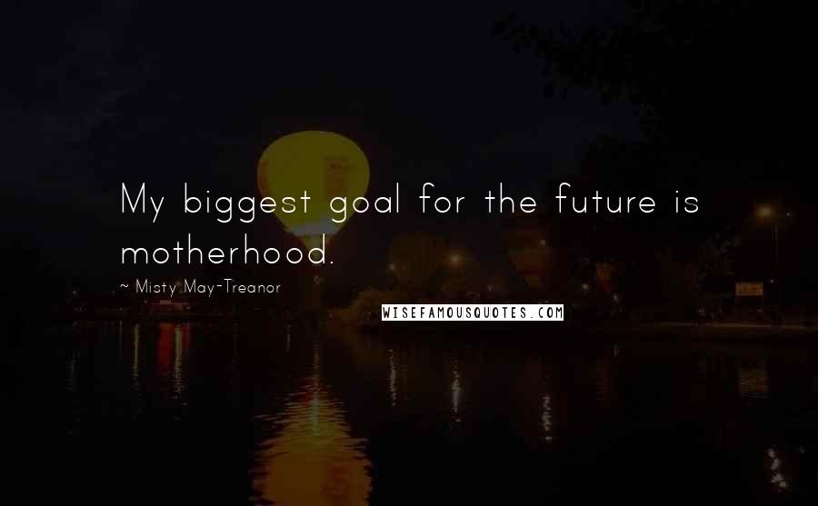 Misty May-Treanor Quotes: My biggest goal for the future is motherhood.