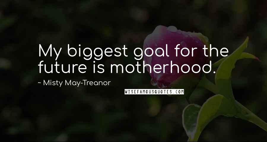 Misty May-Treanor Quotes: My biggest goal for the future is motherhood.