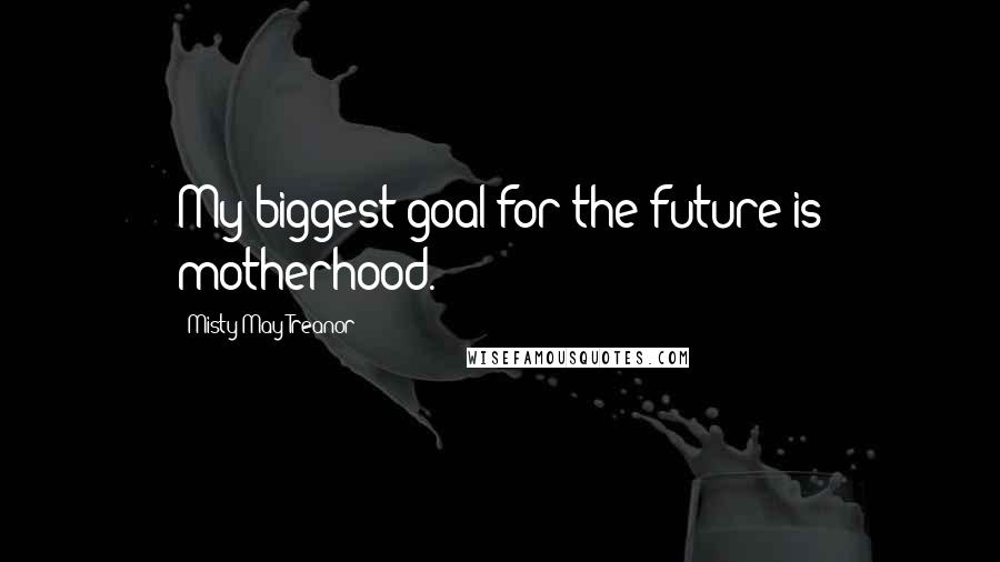 Misty May-Treanor Quotes: My biggest goal for the future is motherhood.