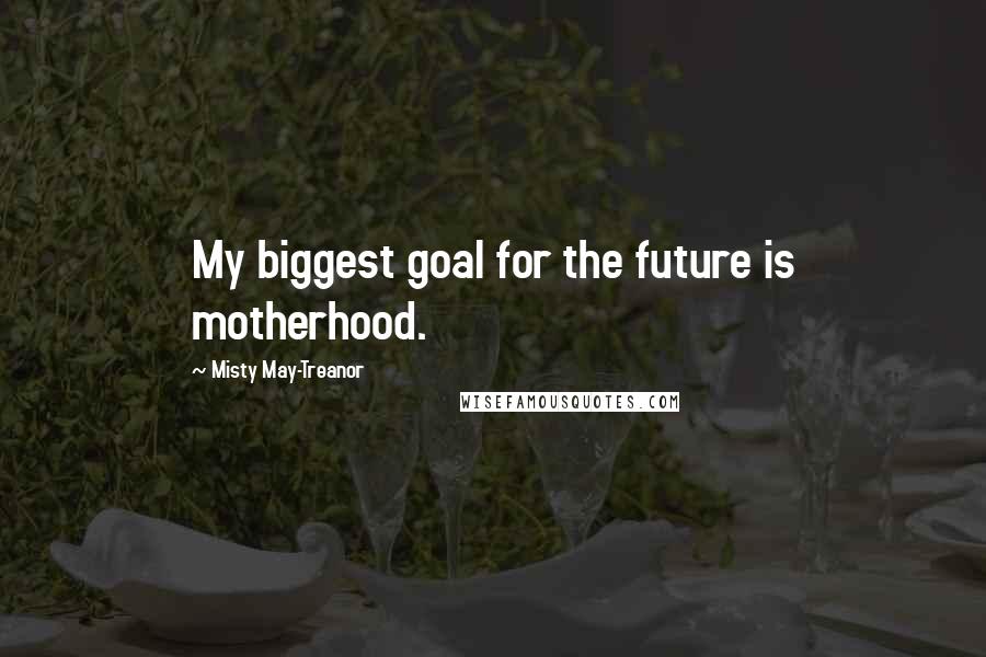 Misty May-Treanor Quotes: My biggest goal for the future is motherhood.