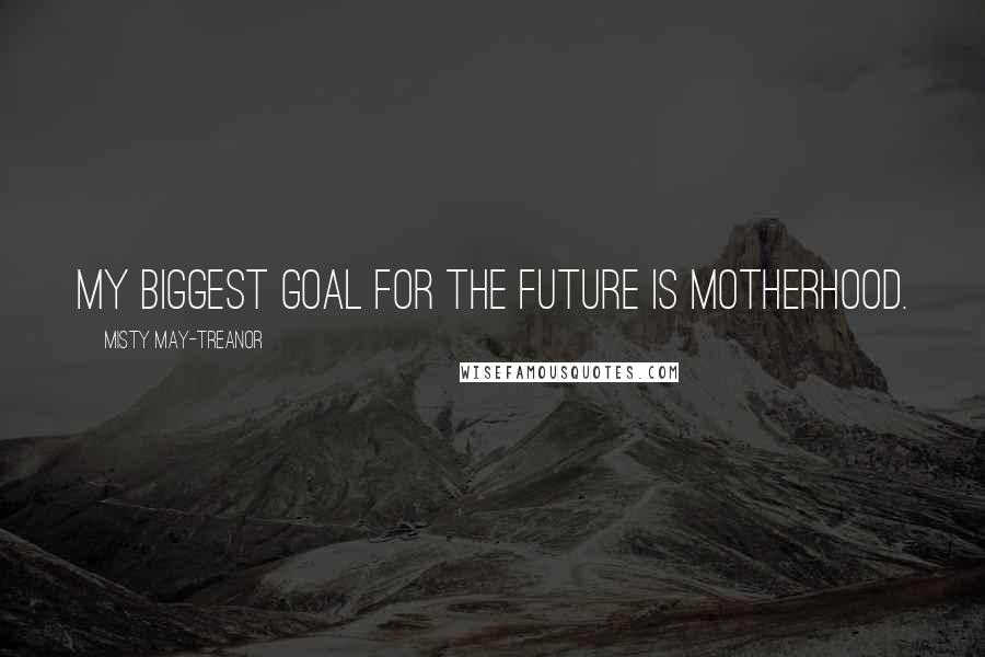 Misty May-Treanor Quotes: My biggest goal for the future is motherhood.