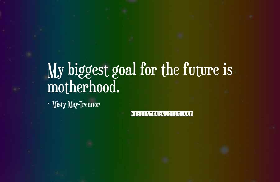 Misty May-Treanor Quotes: My biggest goal for the future is motherhood.