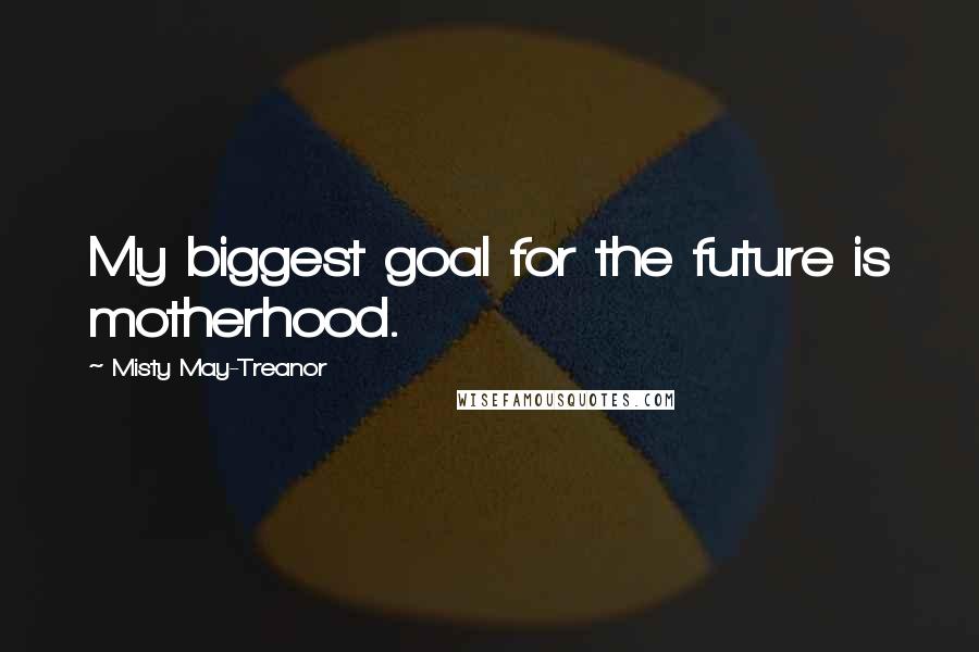 Misty May-Treanor Quotes: My biggest goal for the future is motherhood.