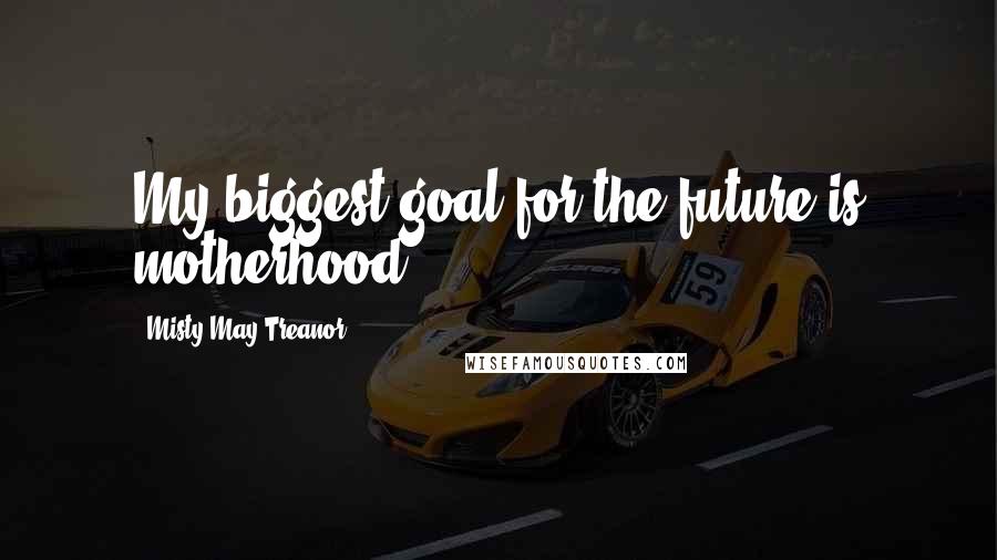 Misty May-Treanor Quotes: My biggest goal for the future is motherhood.