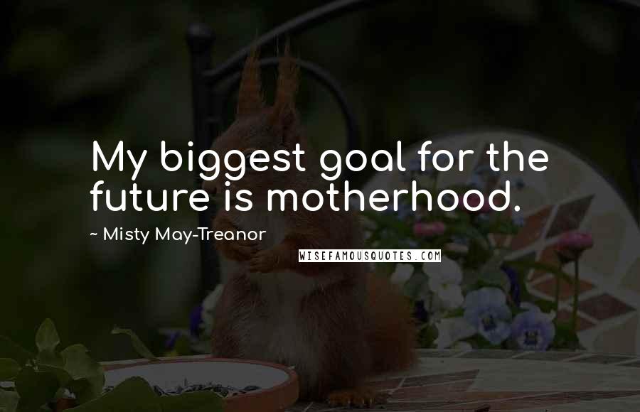 Misty May-Treanor Quotes: My biggest goal for the future is motherhood.