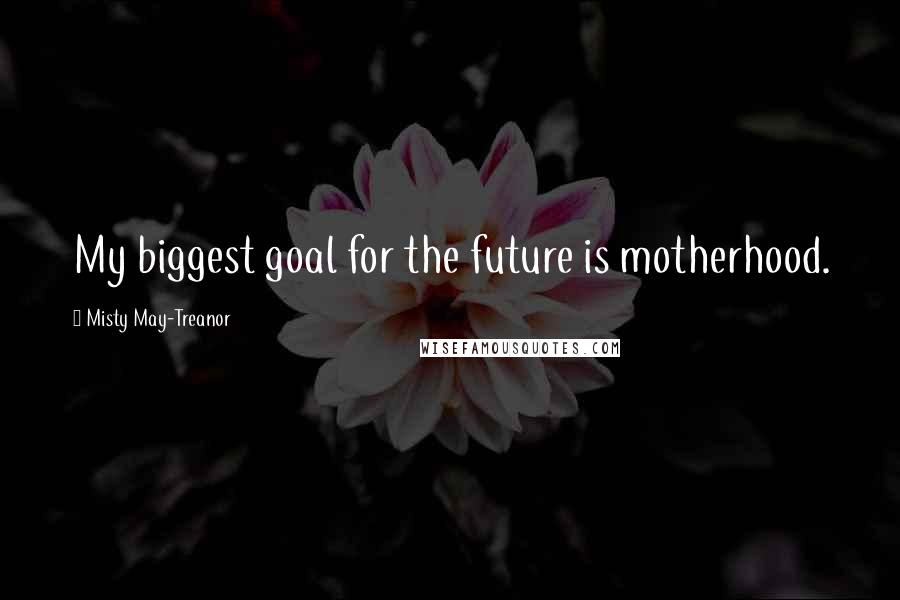 Misty May-Treanor Quotes: My biggest goal for the future is motherhood.