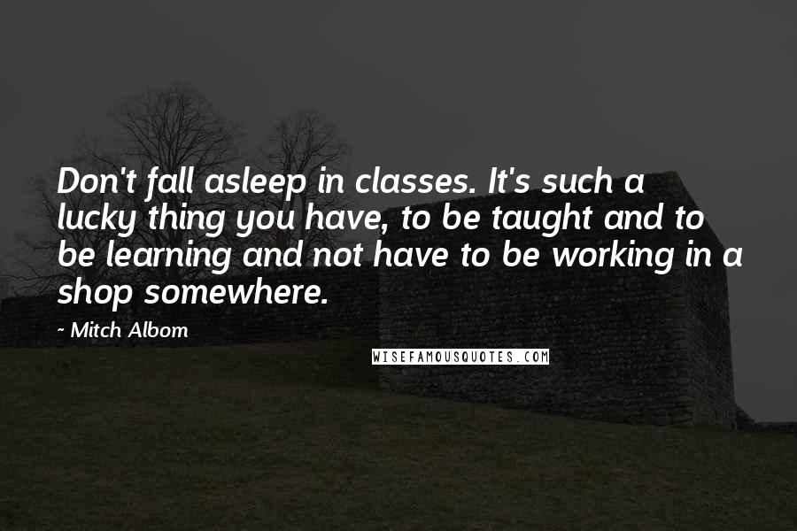 Mitch Albom Quotes: Don't fall asleep in classes. It's such a lucky thing you have, to be taught and to be learning and not have to be working in a shop somewhere.