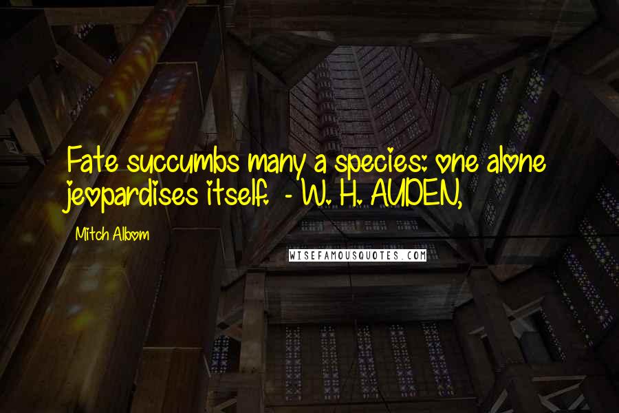 Mitch Albom Quotes: Fate succumbs many a species: one alone jeopardises itself. - W. H. AUDEN,