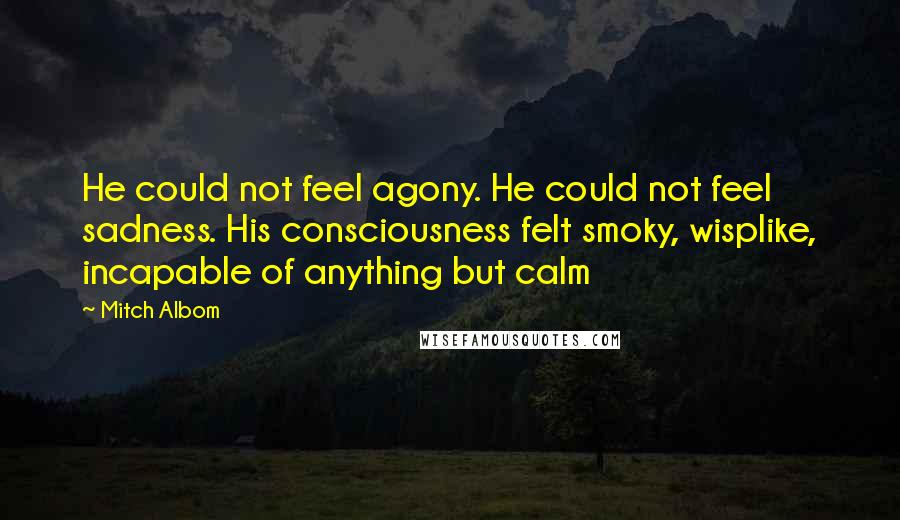 Mitch Albom Quotes: He could not feel agony. He could not feel sadness. His consciousness felt smoky, wisplike, incapable of anything but calm