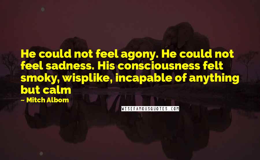 Mitch Albom Quotes: He could not feel agony. He could not feel sadness. His consciousness felt smoky, wisplike, incapable of anything but calm