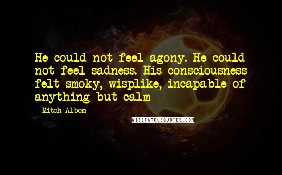 Mitch Albom Quotes: He could not feel agony. He could not feel sadness. His consciousness felt smoky, wisplike, incapable of anything but calm