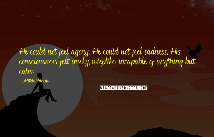 Mitch Albom Quotes: He could not feel agony. He could not feel sadness. His consciousness felt smoky, wisplike, incapable of anything but calm