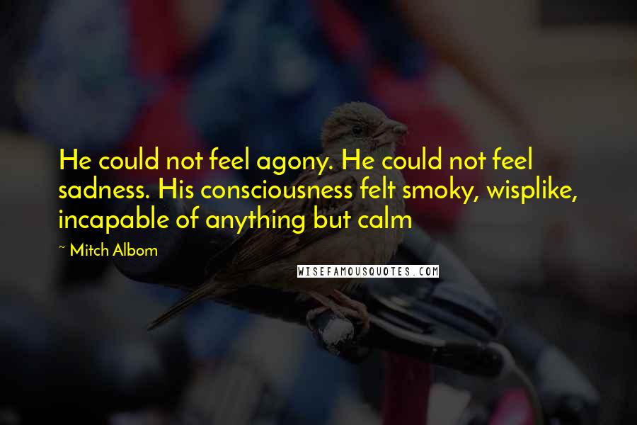 Mitch Albom Quotes: He could not feel agony. He could not feel sadness. His consciousness felt smoky, wisplike, incapable of anything but calm