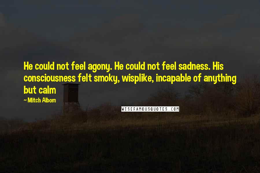 Mitch Albom Quotes: He could not feel agony. He could not feel sadness. His consciousness felt smoky, wisplike, incapable of anything but calm