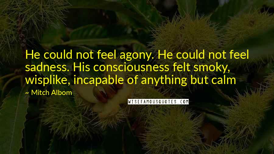 Mitch Albom Quotes: He could not feel agony. He could not feel sadness. His consciousness felt smoky, wisplike, incapable of anything but calm