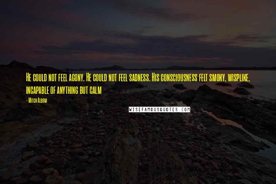 Mitch Albom Quotes: He could not feel agony. He could not feel sadness. His consciousness felt smoky, wisplike, incapable of anything but calm