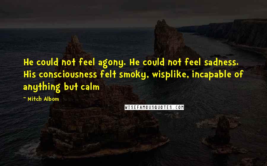 Mitch Albom Quotes: He could not feel agony. He could not feel sadness. His consciousness felt smoky, wisplike, incapable of anything but calm