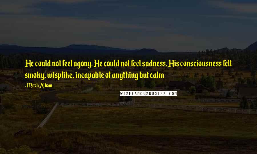 Mitch Albom Quotes: He could not feel agony. He could not feel sadness. His consciousness felt smoky, wisplike, incapable of anything but calm