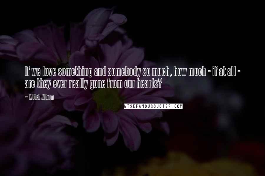 Mitch Albom Quotes: If we love something and somebody so much, how much - if at all - are they ever really gone from our hearts?