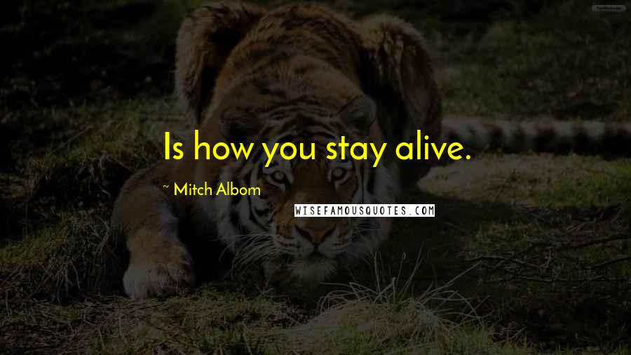 Mitch Albom Quotes: Is how you stay alive.