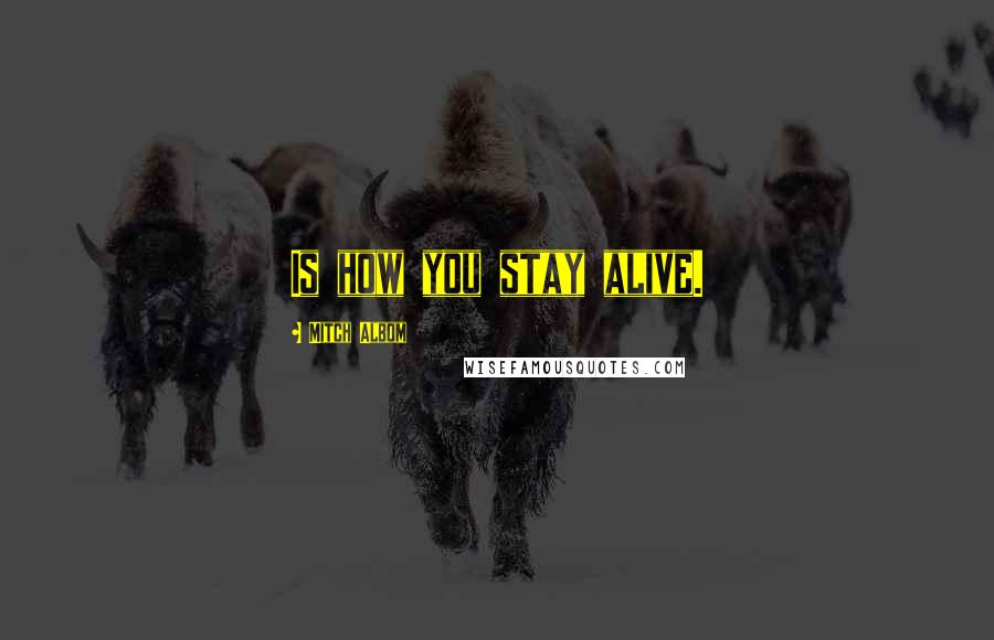 Mitch Albom Quotes: Is how you stay alive.