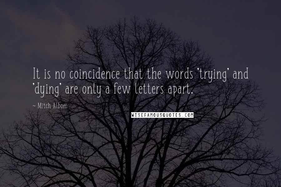 Mitch Albom Quotes: It is no coincidence that the words 'trying' and 'dying' are only a few letters apart.