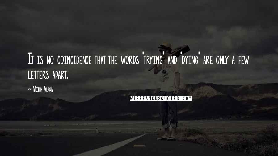 Mitch Albom Quotes: It is no coincidence that the words 'trying' and 'dying' are only a few letters apart.