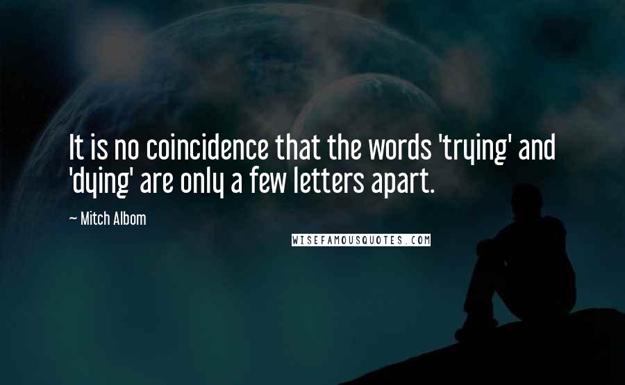 Mitch Albom Quotes: It is no coincidence that the words 'trying' and 'dying' are only a few letters apart.