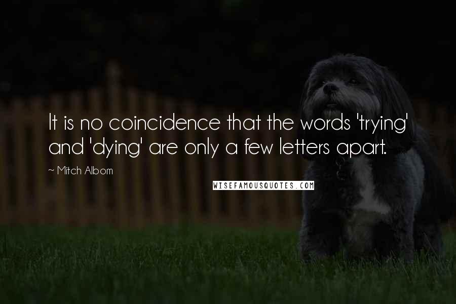 Mitch Albom Quotes: It is no coincidence that the words 'trying' and 'dying' are only a few letters apart.