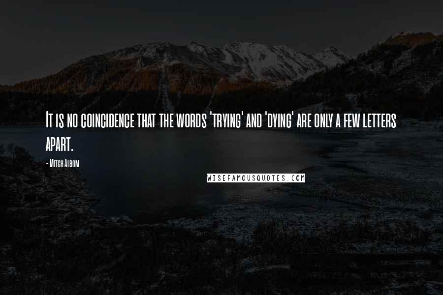 Mitch Albom Quotes: It is no coincidence that the words 'trying' and 'dying' are only a few letters apart.