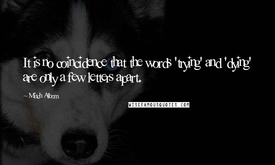 Mitch Albom Quotes: It is no coincidence that the words 'trying' and 'dying' are only a few letters apart.