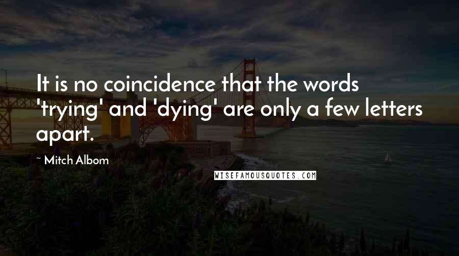 Mitch Albom Quotes: It is no coincidence that the words 'trying' and 'dying' are only a few letters apart.