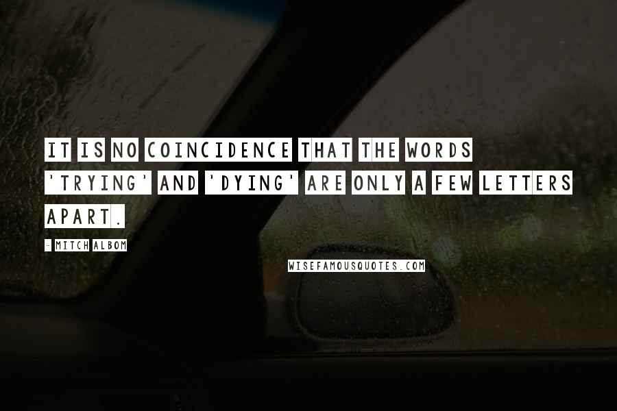 Mitch Albom Quotes: It is no coincidence that the words 'trying' and 'dying' are only a few letters apart.