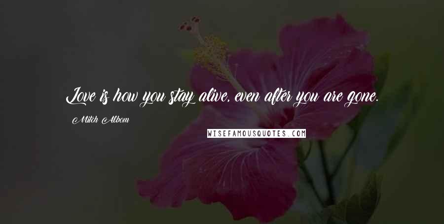Mitch Albom Quotes: Love is how you stay alive, even after you are gone.