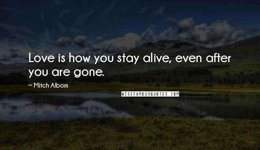 Mitch Albom Quotes: Love is how you stay alive, even after you are gone.