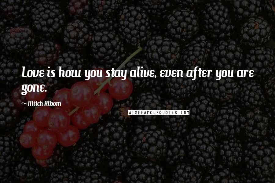 Mitch Albom Quotes: Love is how you stay alive, even after you are gone.
