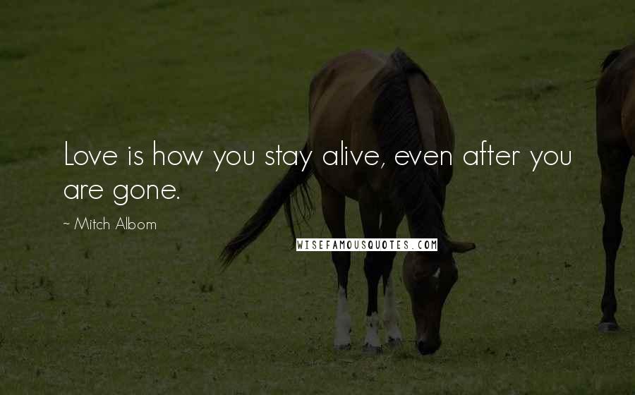Mitch Albom Quotes: Love is how you stay alive, even after you are gone.