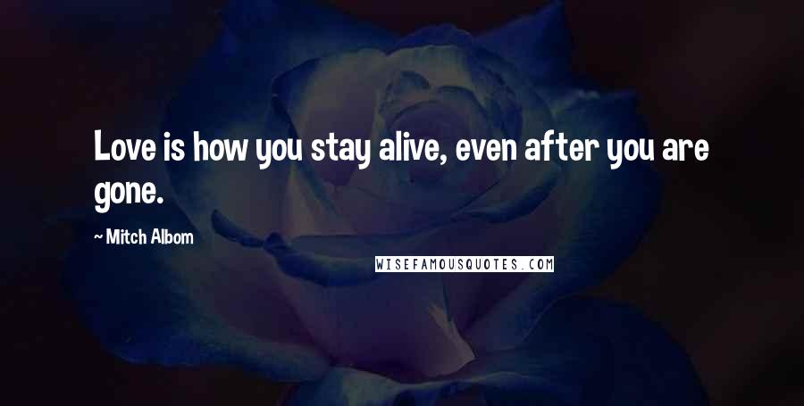 Mitch Albom Quotes: Love is how you stay alive, even after you are gone.