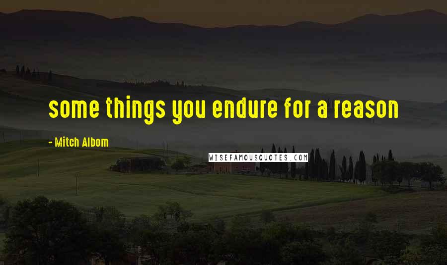 Mitch Albom Quotes: some things you endure for a reason