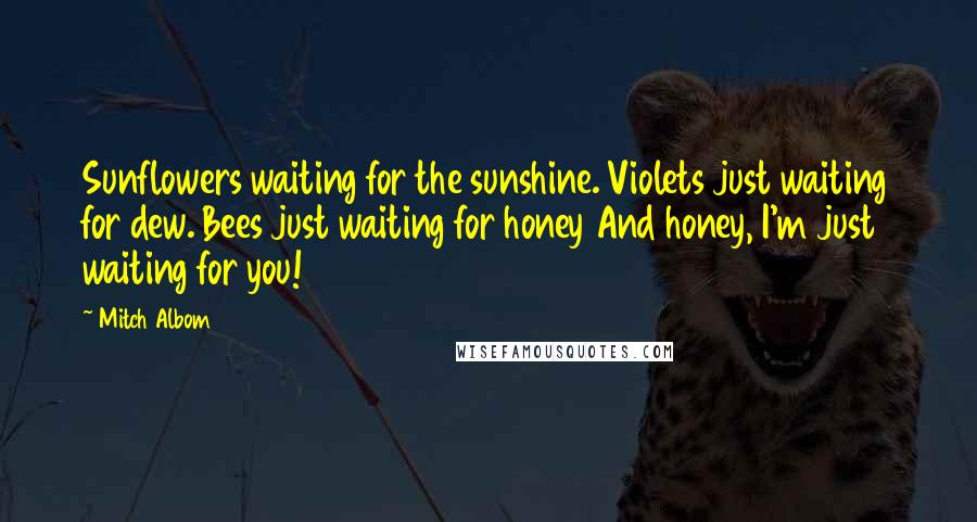 Mitch Albom Quotes: Sunflowers waiting for the sunshine. Violets just waiting for dew. Bees just waiting for honey And honey, I'm just waiting for you!