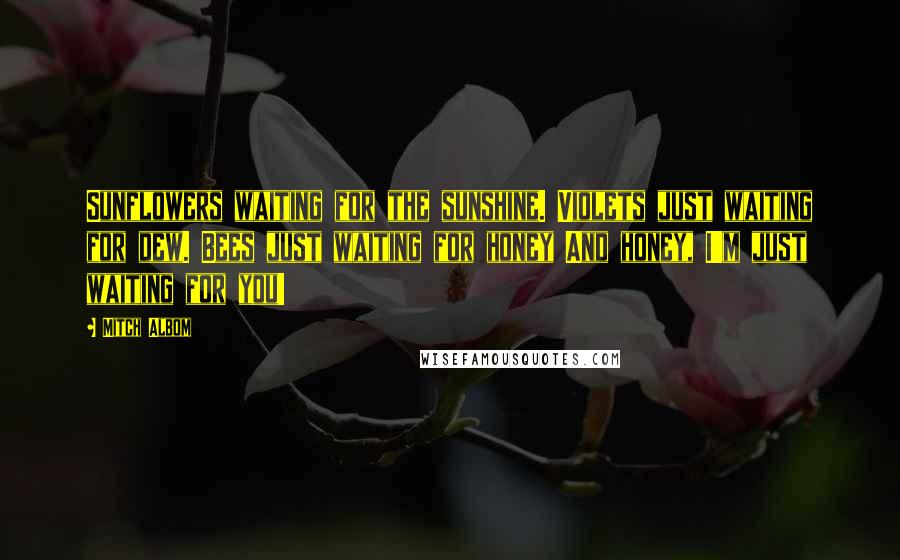 Mitch Albom Quotes: Sunflowers waiting for the sunshine. Violets just waiting for dew. Bees just waiting for honey And honey, I'm just waiting for you!