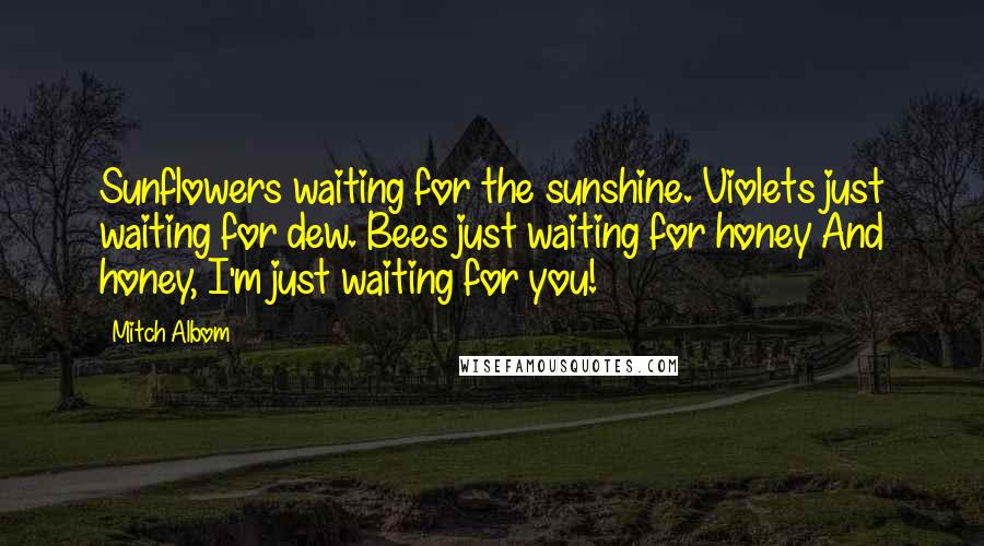 Mitch Albom Quotes: Sunflowers waiting for the sunshine. Violets just waiting for dew. Bees just waiting for honey And honey, I'm just waiting for you!