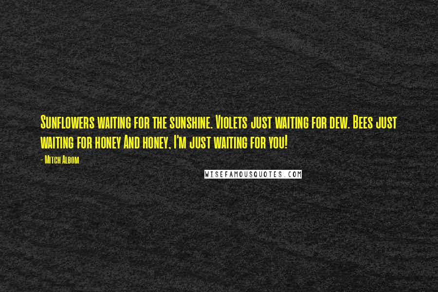 Mitch Albom Quotes: Sunflowers waiting for the sunshine. Violets just waiting for dew. Bees just waiting for honey And honey, I'm just waiting for you!