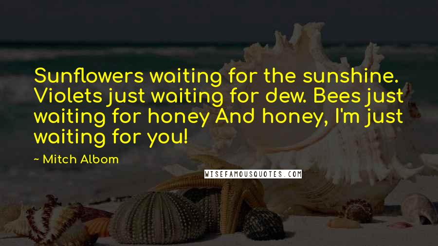 Mitch Albom Quotes: Sunflowers waiting for the sunshine. Violets just waiting for dew. Bees just waiting for honey And honey, I'm just waiting for you!