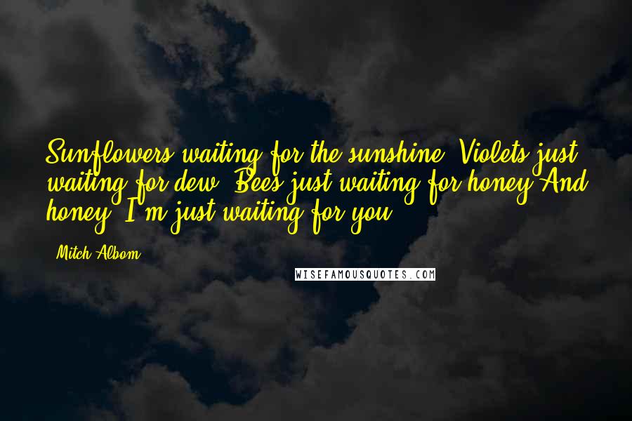 Mitch Albom Quotes: Sunflowers waiting for the sunshine. Violets just waiting for dew. Bees just waiting for honey And honey, I'm just waiting for you!